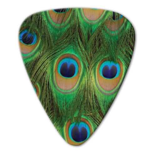 Animal Print Theme - Peacock Picks (10 pack) - Ugly Dog Band Merch - Custom Guitar Picks and Band Merchandise Canada