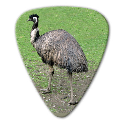 Australian Animals - Emu Picks (10 pack) - Ugly Dog Band Merch - Custom Guitar Picks and Band Merchandise Canada