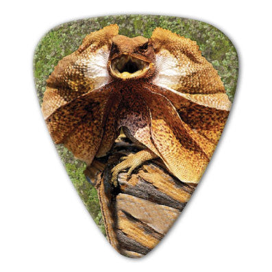Australian Animals - Frill Neck Lizard Picks (10 pack) - Ugly Dog Band Merch - Custom Guitar Picks and Band Merchandise Canada