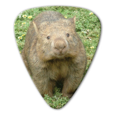 Australian Animals - Wombat Picks (10 pack) - Ugly Dog Band Merch - Custom Guitar Picks and Band Merchandise Canada