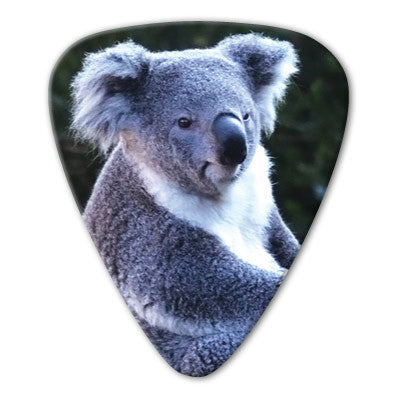 Australian Animals - Koala Picks (10 pack) - Ugly Dog Band Merch - Custom Guitar Picks and Band Merchandise Canada