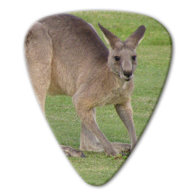 Australian Animals - Kangaroo Picks (10 pack) - Ugly Dog Band Merch - Custom Guitar Picks and Band Merchandise Canada