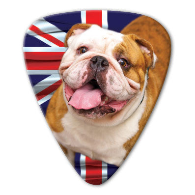 England - English Bulldog Picks (10 pack) - Ugly Dog Band Merch - Custom Guitar Picks and Band Merchandise Canada