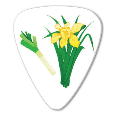 Wales - Daffodils Picks (10 pack) - Ugly Dog Band Merch - Custom Guitar Picks and Band Merchandise Canada